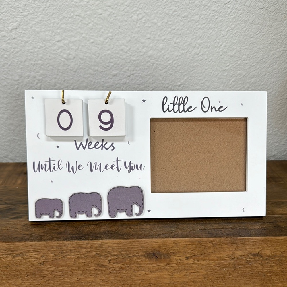 Sonogram Picture Frame